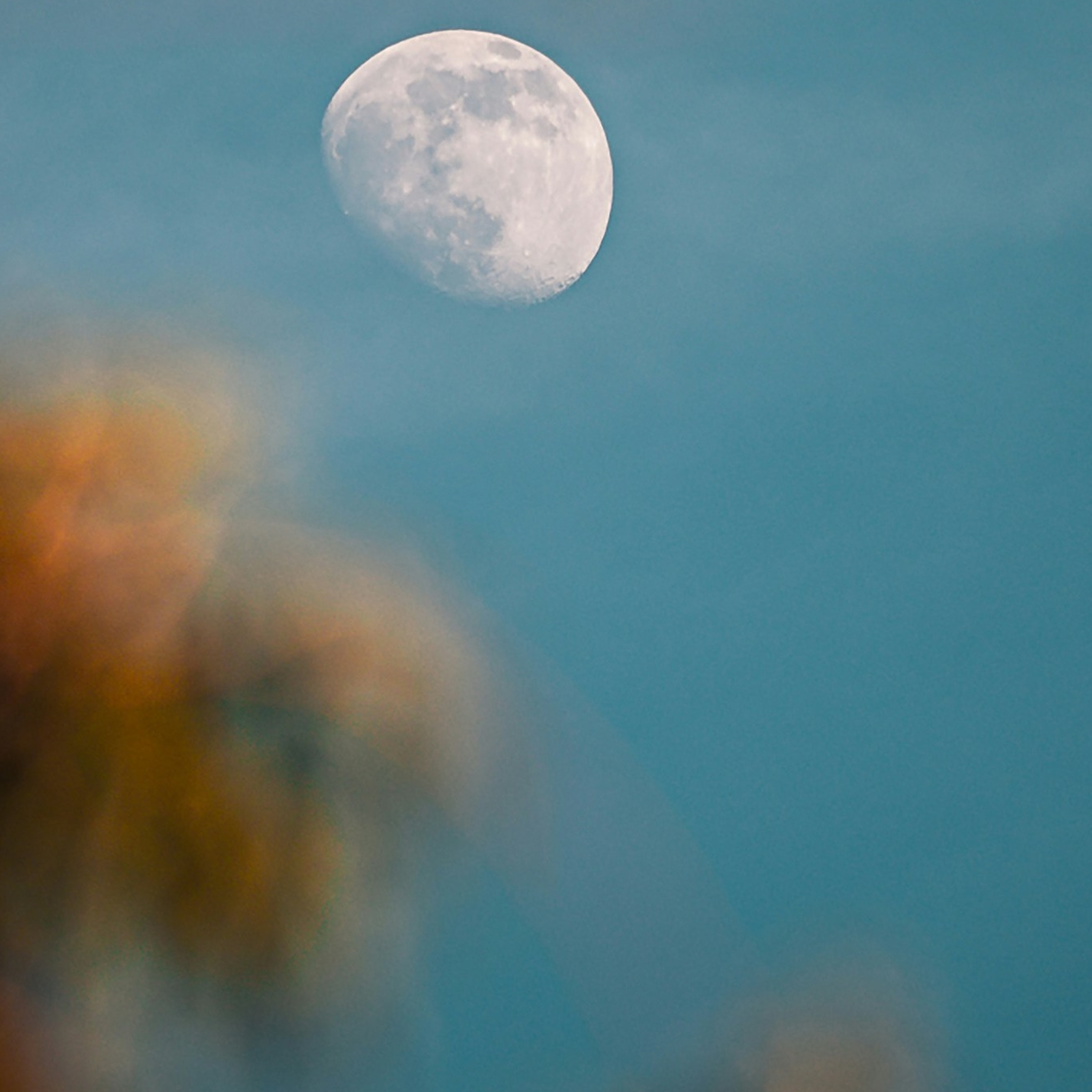 August Moon Innovation